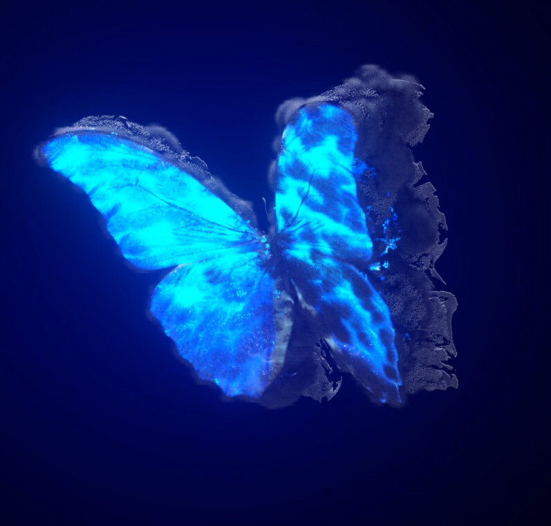 ArtStation - Magical Butterfly Wings Simulation