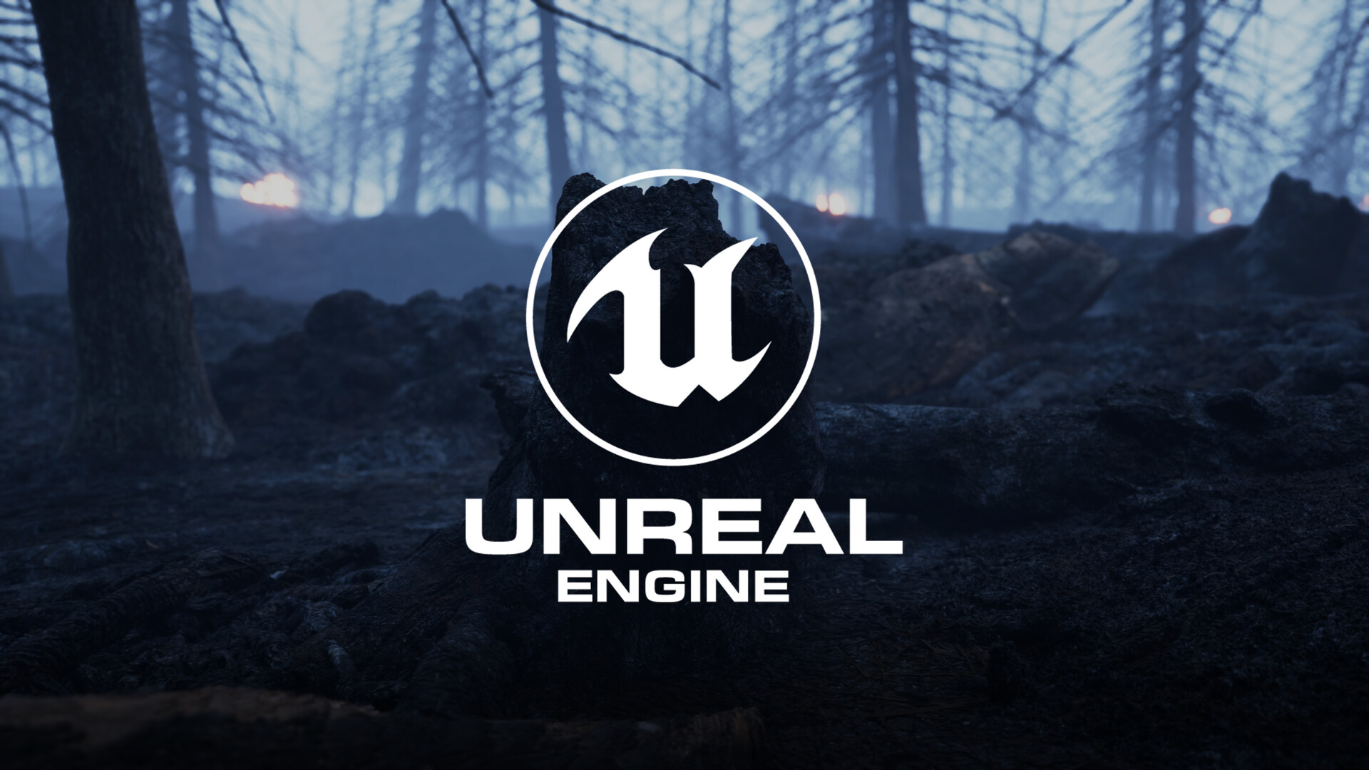 ArtStation - Unreal Engine 5.2 Burnt Forest