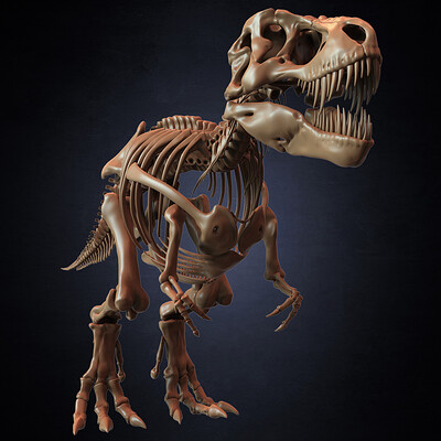 Yacine brinis yacine brinis t rex skeleton 3d model tyrannosaurus rex sculpted by yacine brinis set 055