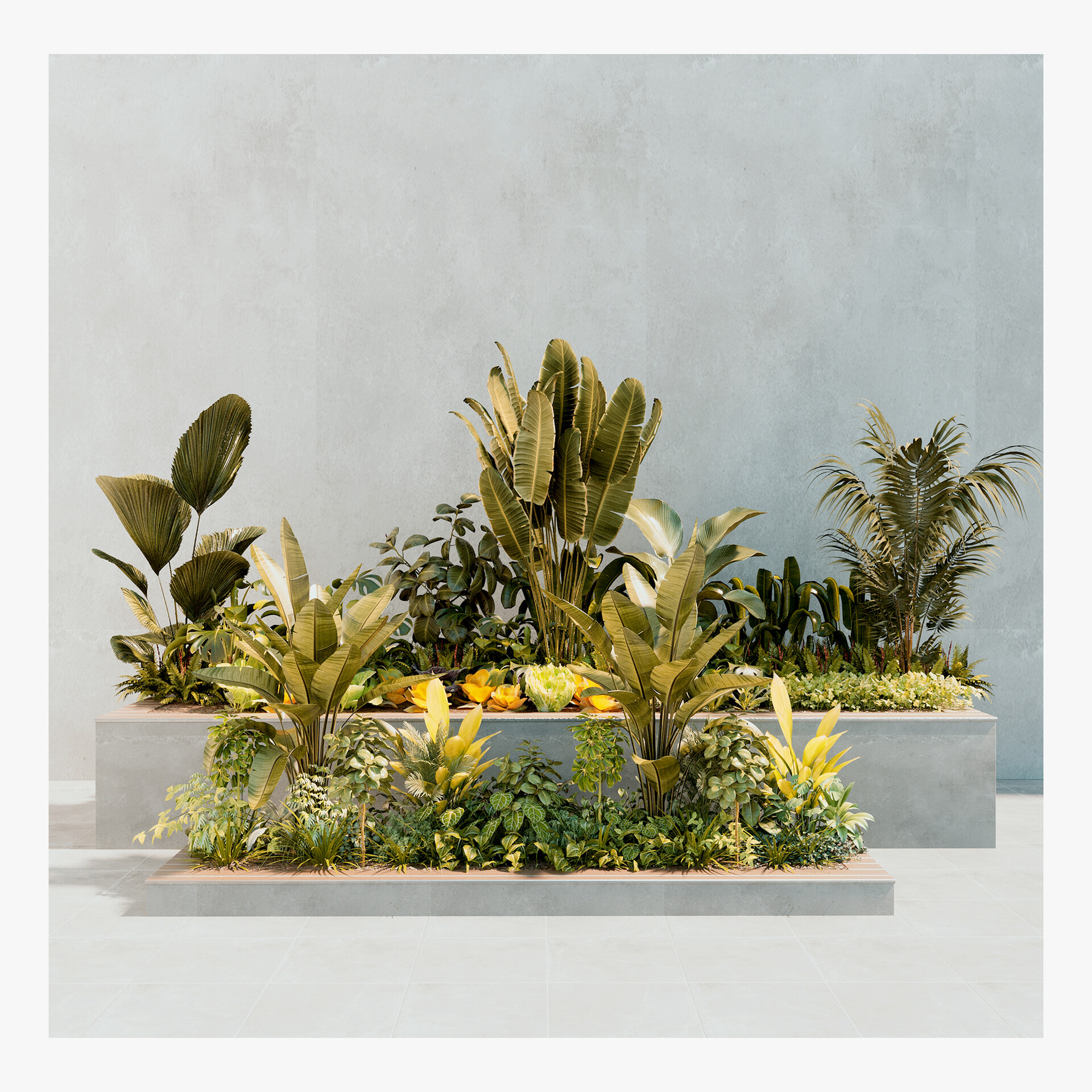 Garden plants 06 ( 3Ds MAX - Blender - Cinema4D - FBX - OBJ )