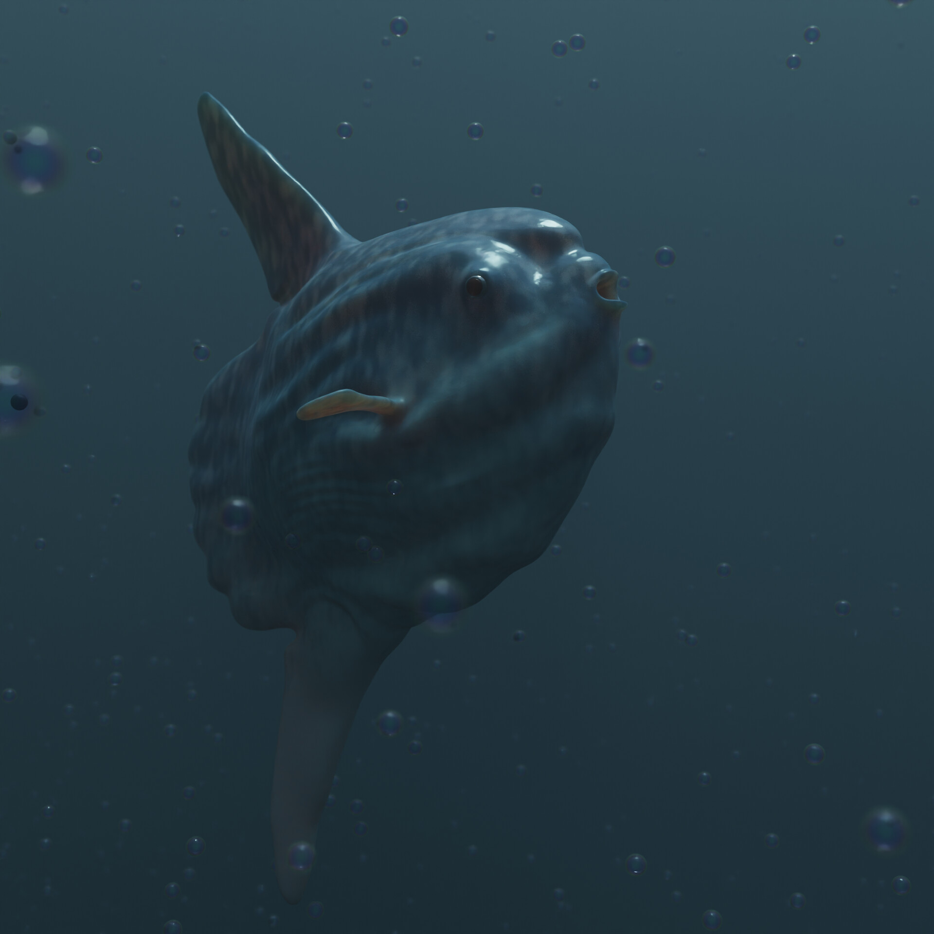 ArtStation - A Swimming Mola Mola