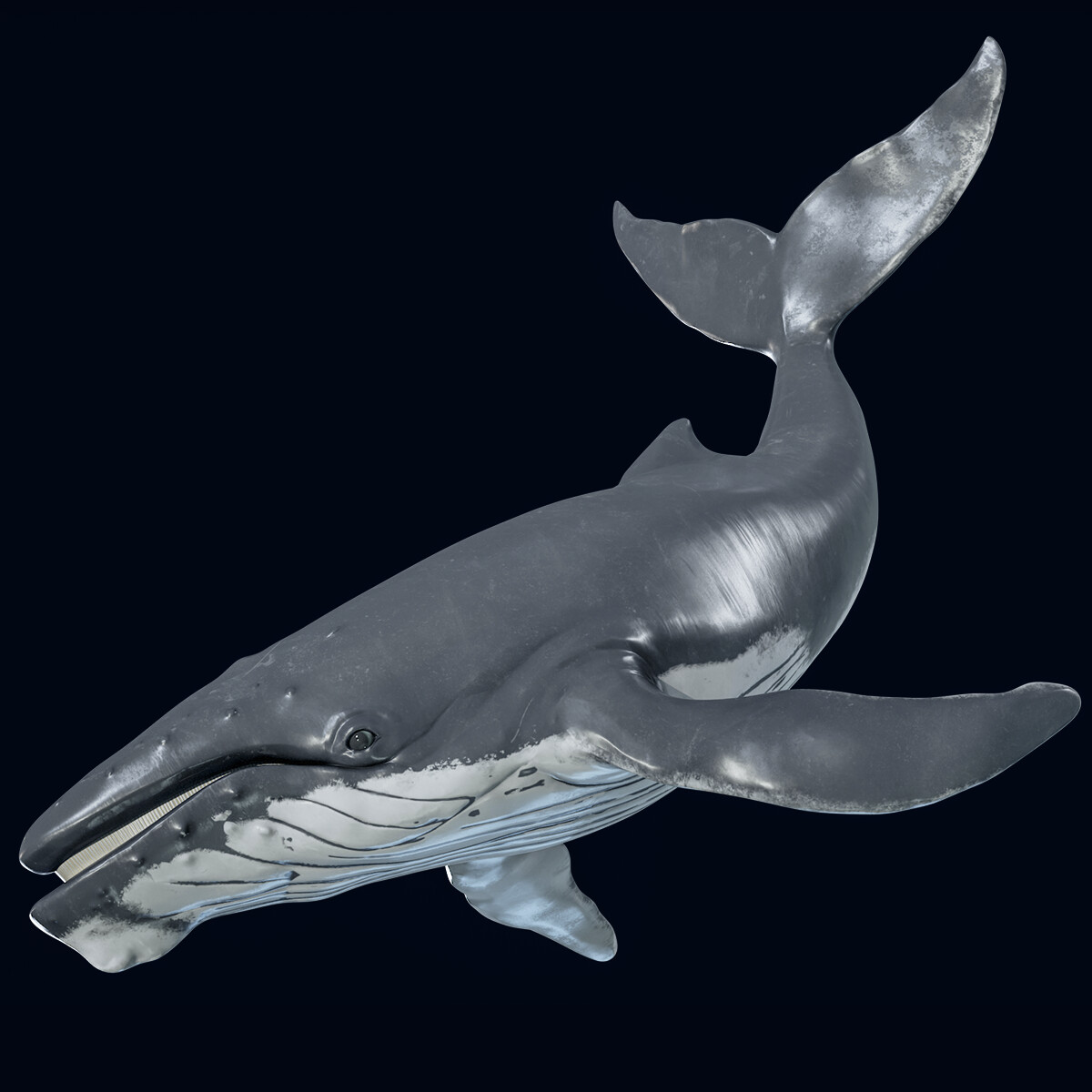 ArtStation - Humpback Whale 3D Model PBR