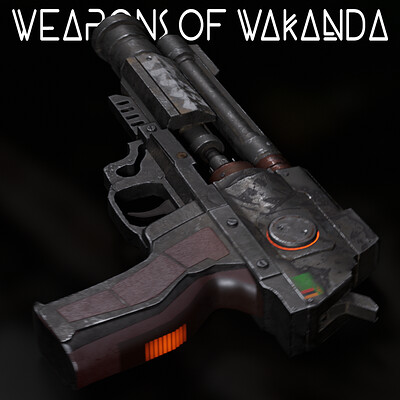 The Warlord's Gun
