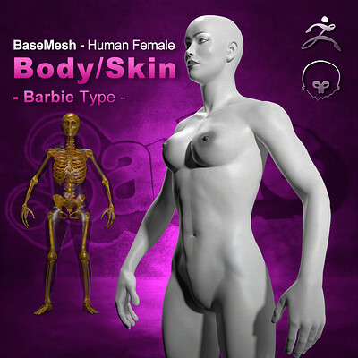 human body skin