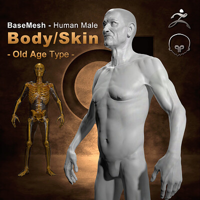 human body skin