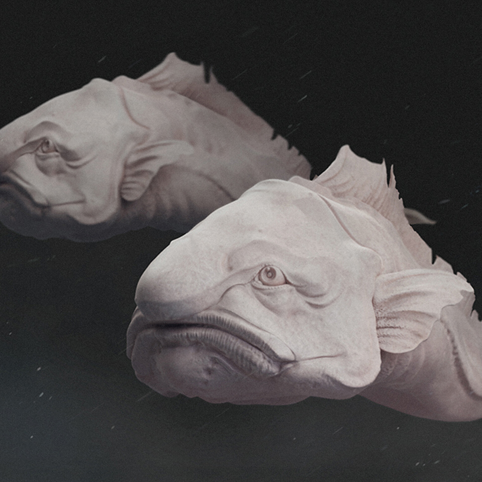 Blob Fish Sculpture 