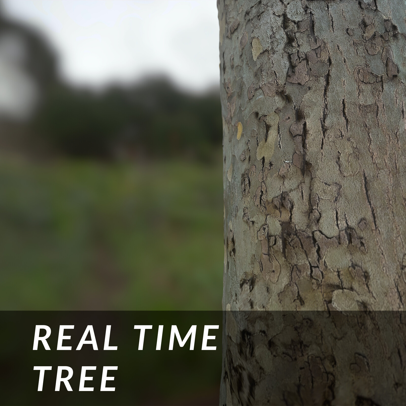 Tree | Realtime