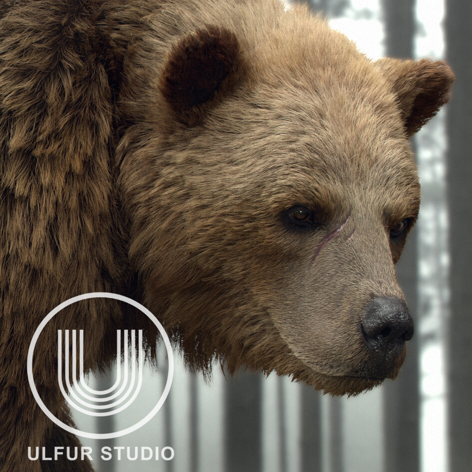 ArtStation - Bear Sculpt in Blender