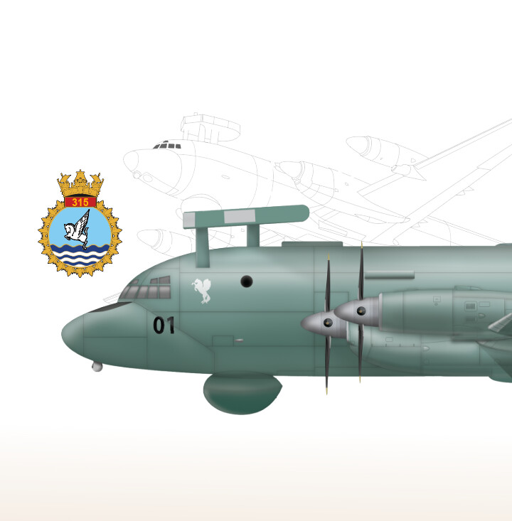 ArtStation - Indian Navy Il-38 SD Side Profile