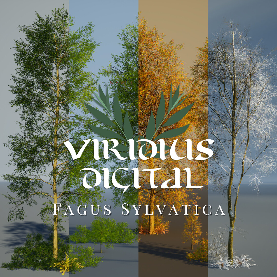 ArtStation - Fagus sylvatica (Common beech) trees