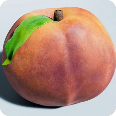 Nectarine Model