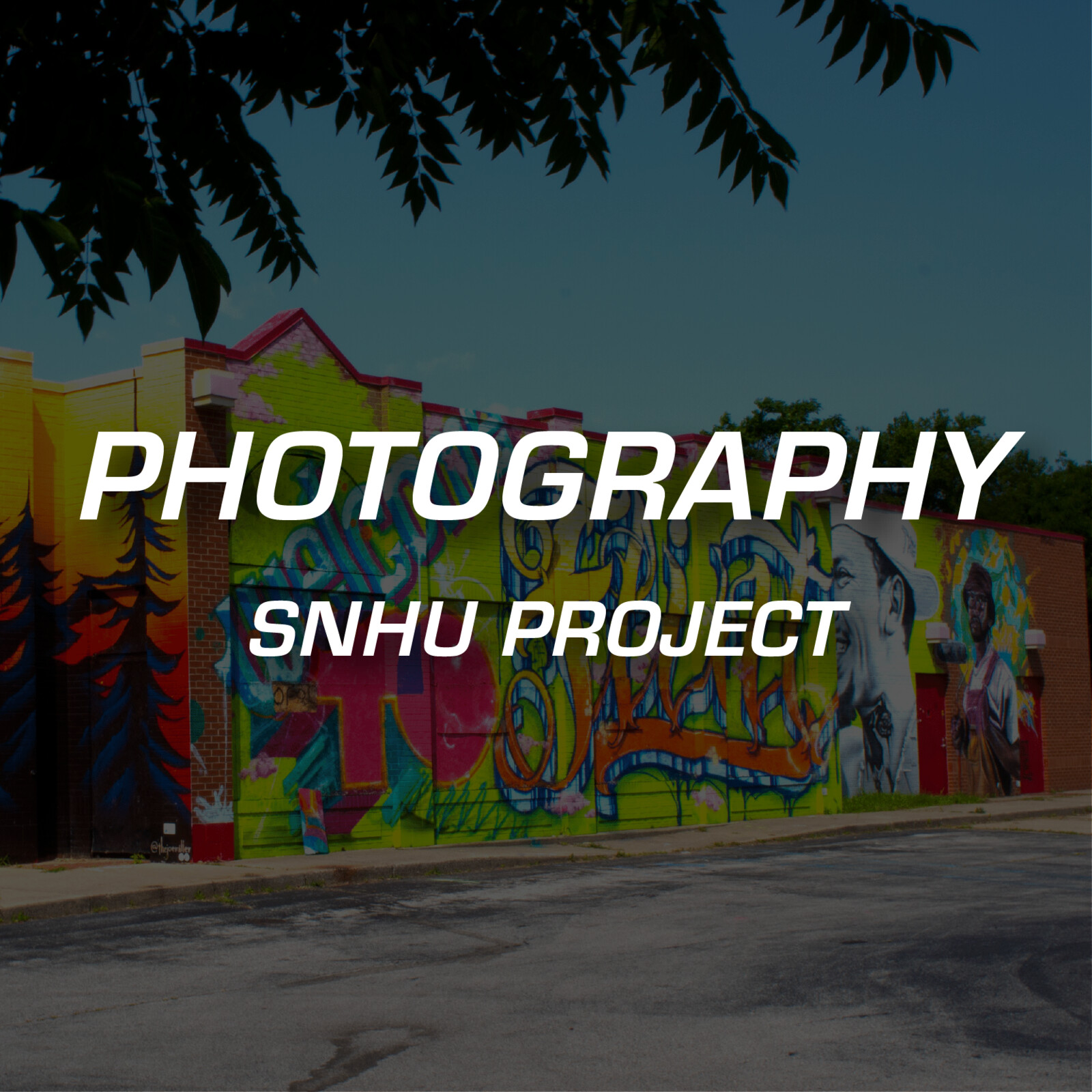 Photography - SNHU Project