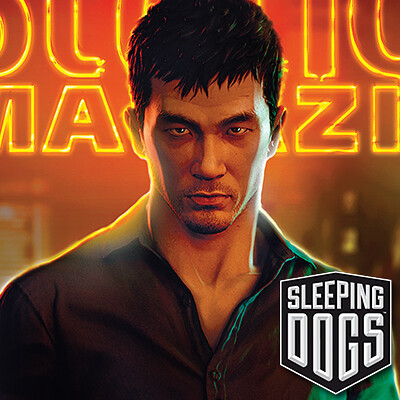 Sleeping Dogs / True Crime - Covers