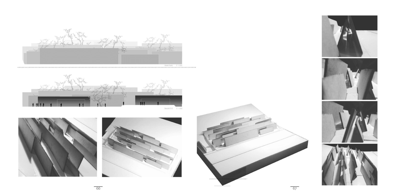 The Scale of Sedimented Light: Tea Salon