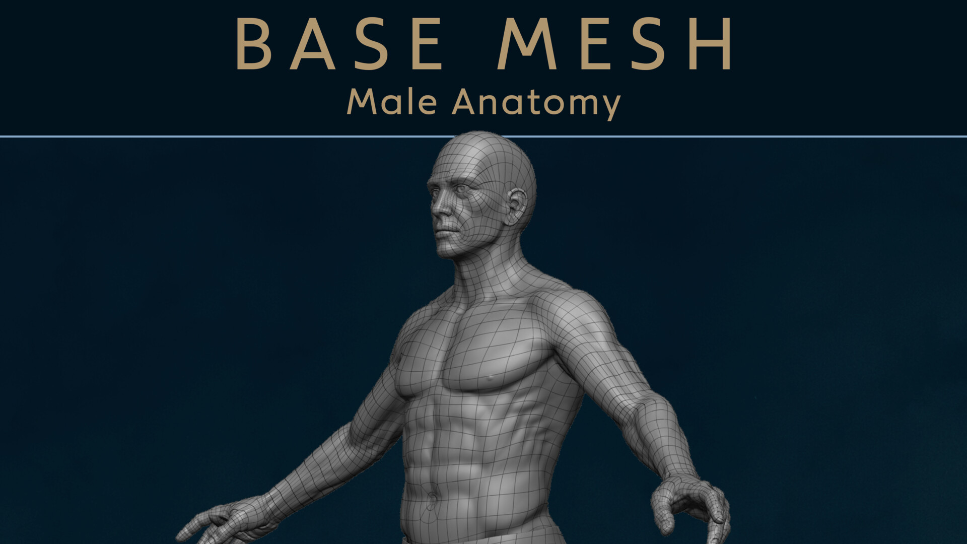 Artstation Male Anatomy Base Mesh