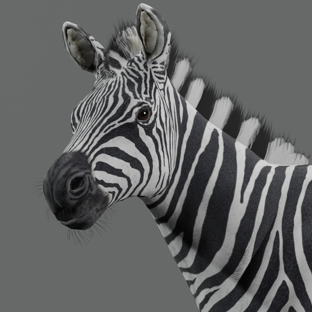 ArtStation - Zebra Default Skin for Way Of Animals