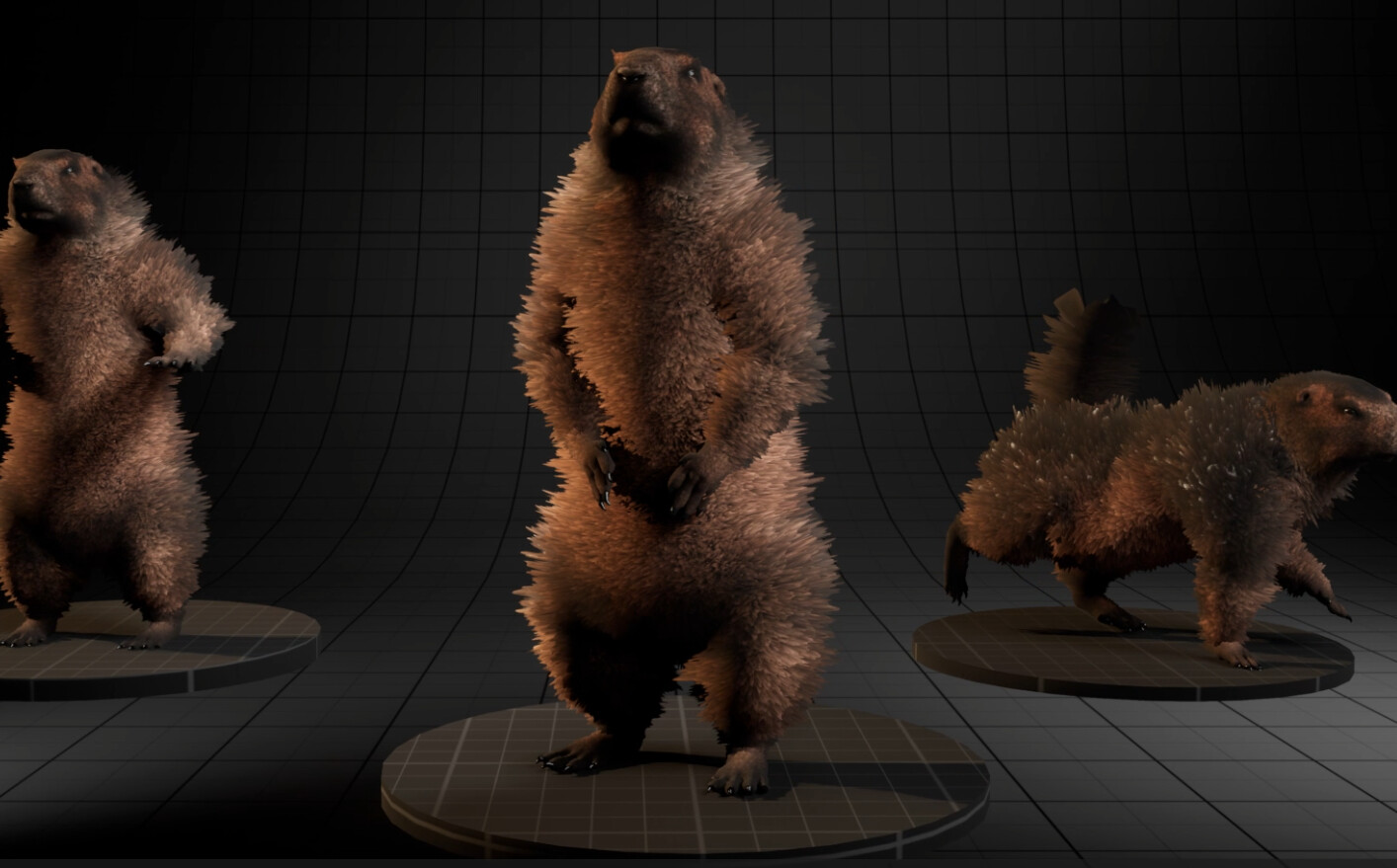ArtStation - Marmot Fur Shell