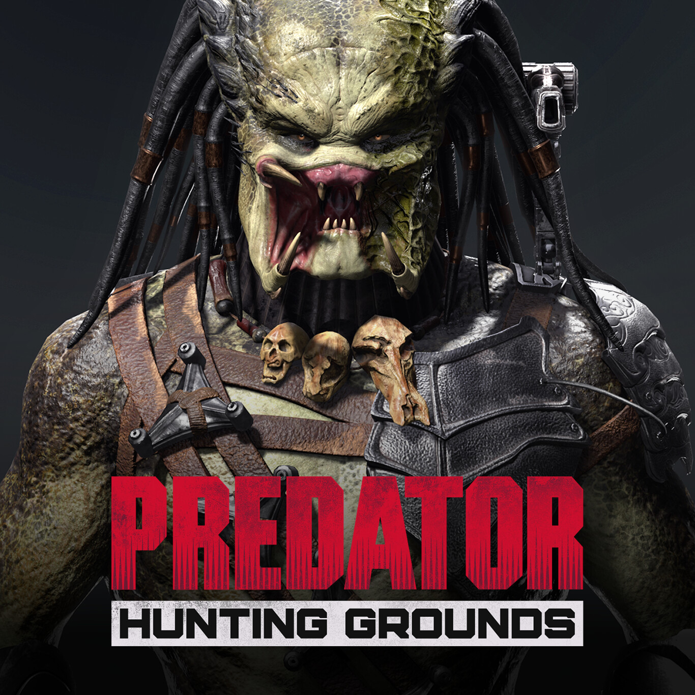 Predator Wolf, Predator Hunting Grounds