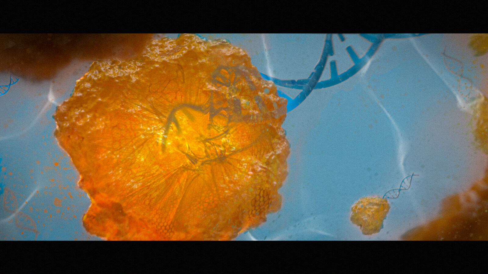 Scientific Illustration Keyframes for a Demo