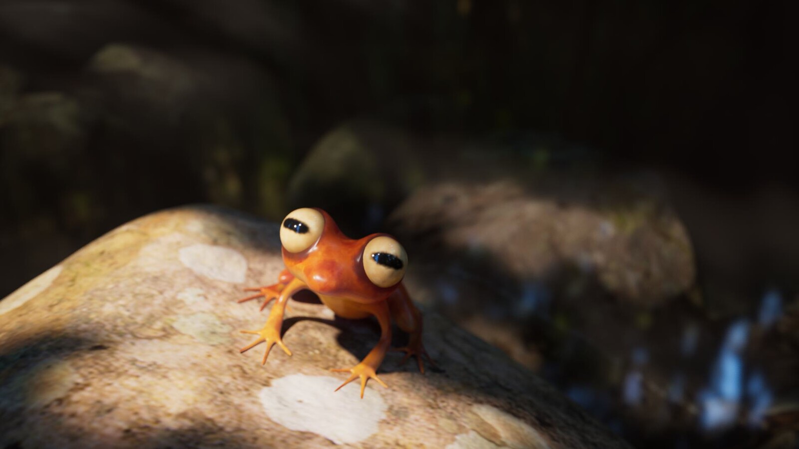 Frogs: a Woodland Encounter