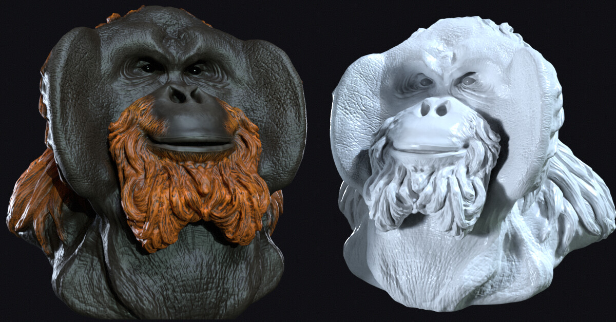 Orangutan bust