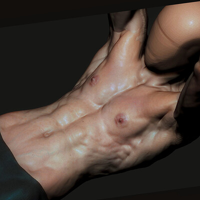 Torso Anatomy Timelapse [Zbrush]