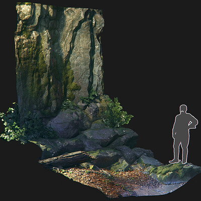 Forest Biome, Material Studies [Substance Designer]