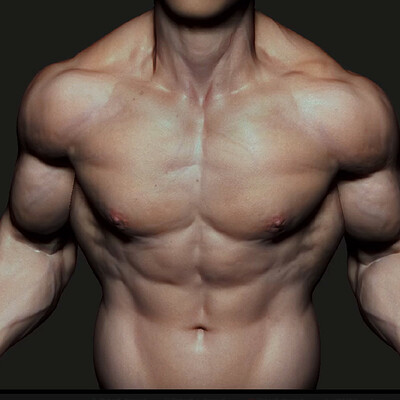 Torso Sculpture - Timelapse [Zbrush]