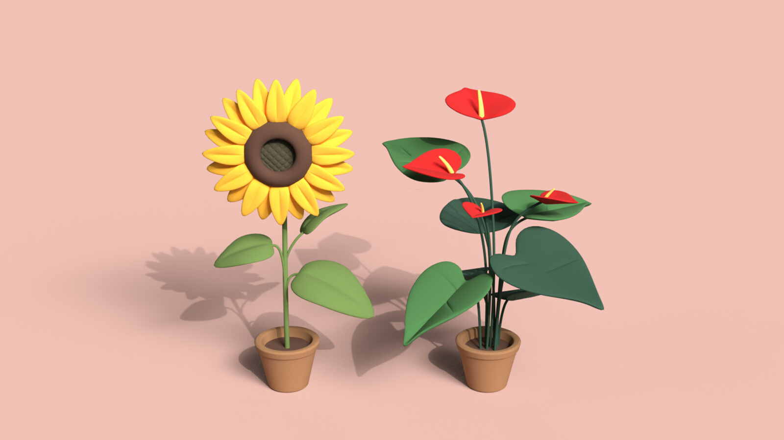 Sunflower & Anthurium - with animation