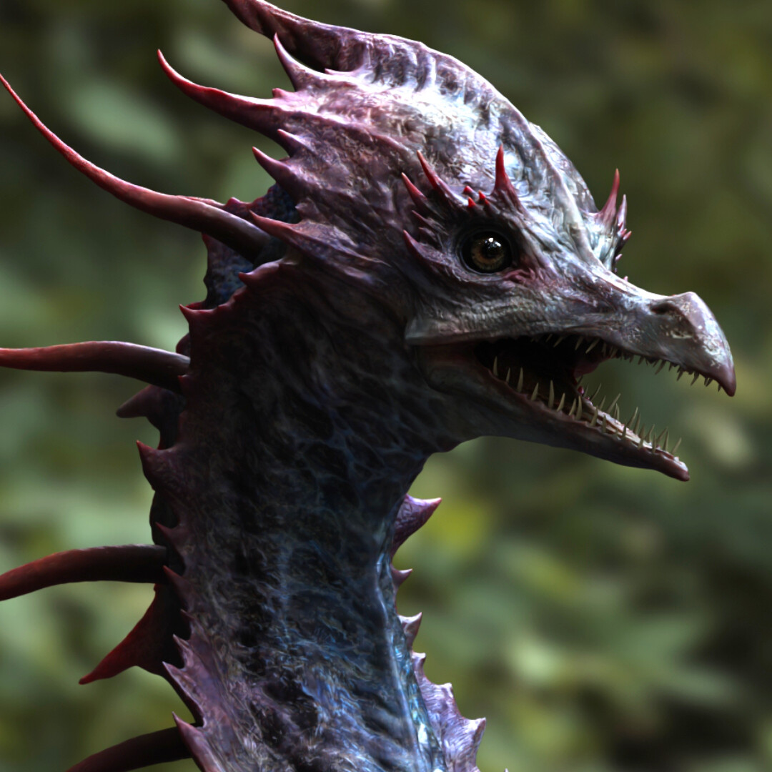 Coastal Scyraquill 