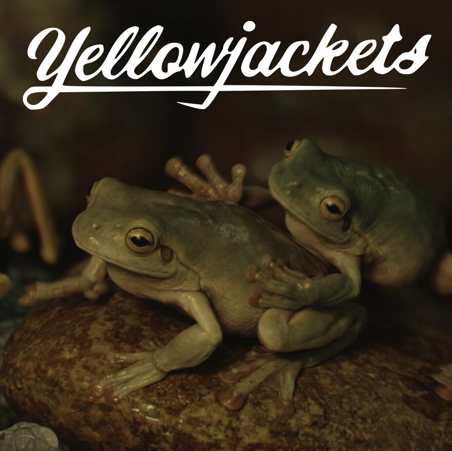 Yellowjackets - CG Frog Modelling