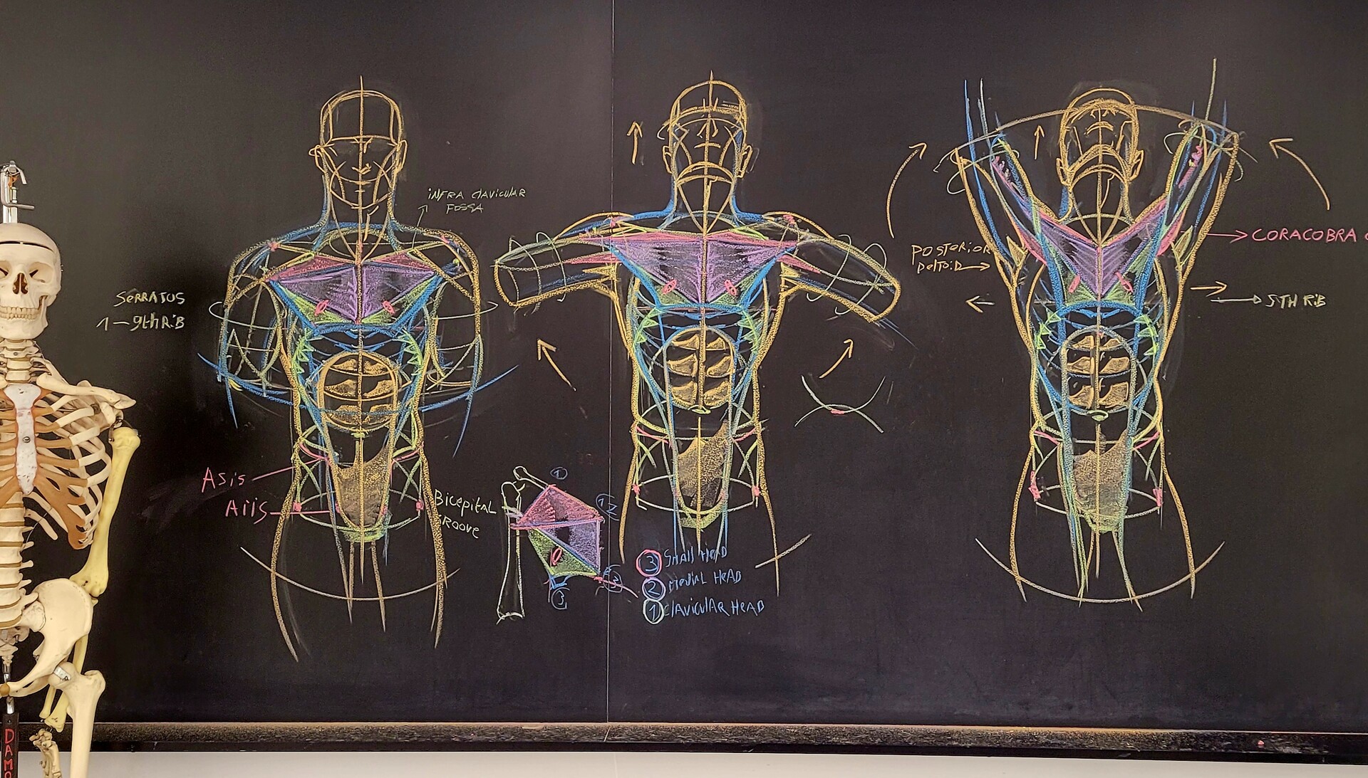 ArtStation - Artcenter blackboard drawings