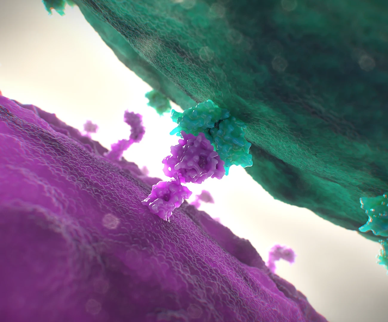 NK Cell Immune Recognition | Molecular Animation (Houdini + Karma)