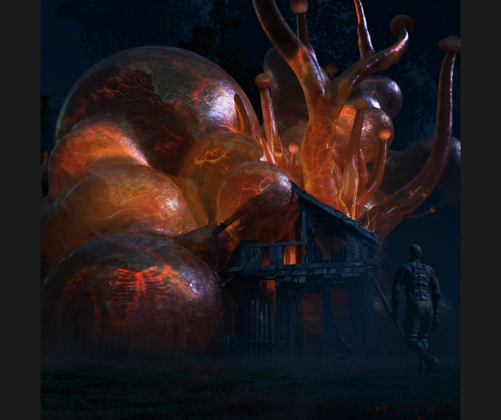 House of Spores