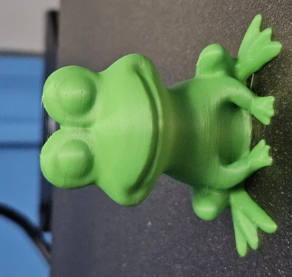 3D Printed Frog