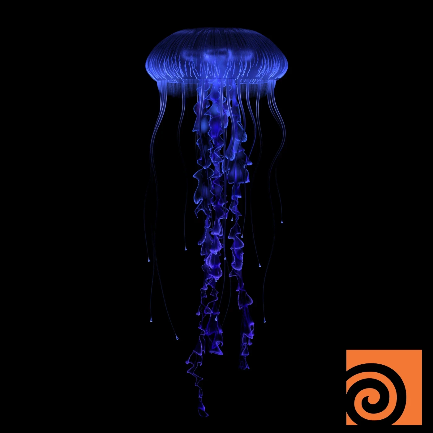 Procedural Jellyfish