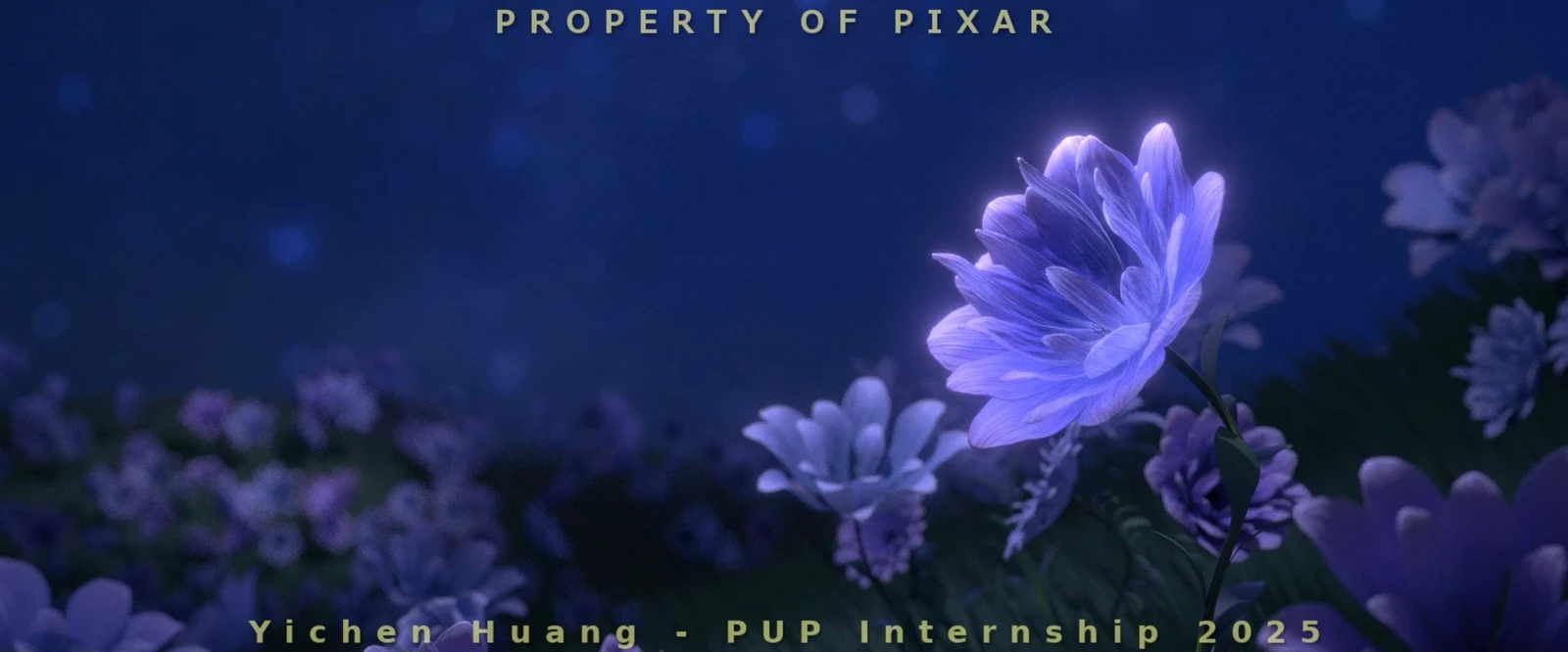 Procedural Flower Field