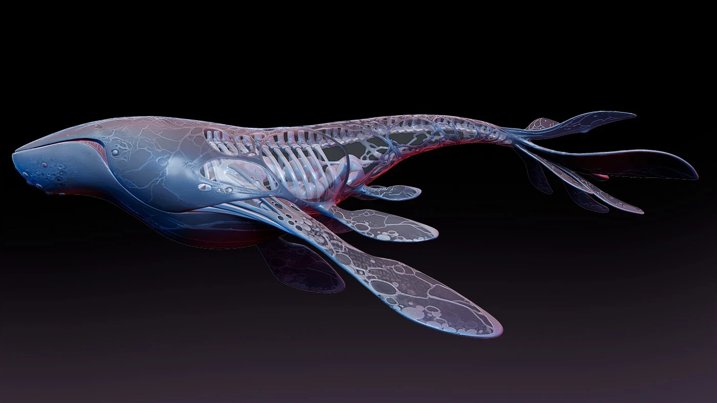 Shimmer Creature: the Whale