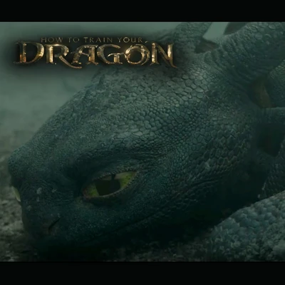How To Train Your Dragon