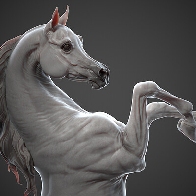 Arabian horse / 3D Sculpting