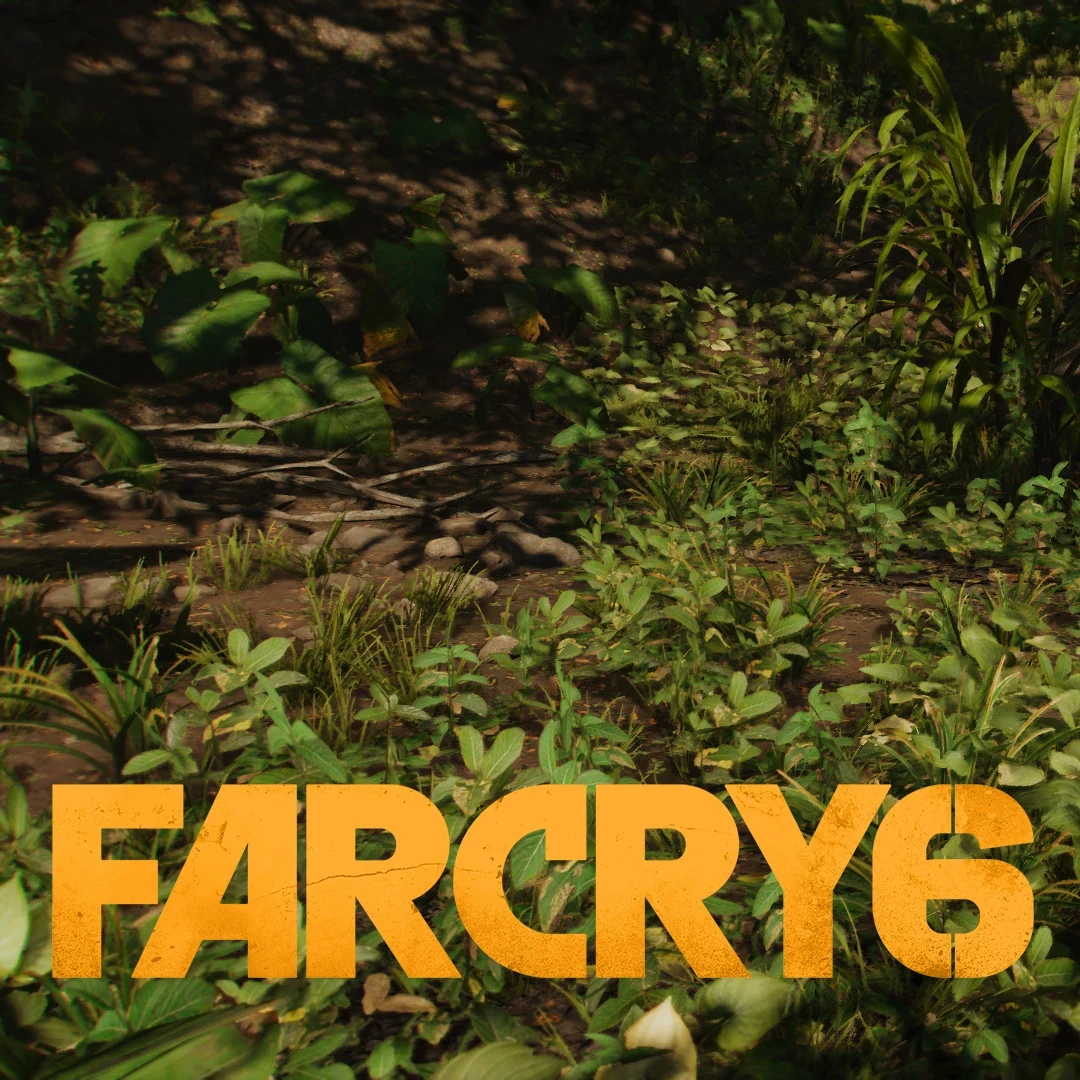 Far Cry 6 | Biomes | Moist Broadleaf