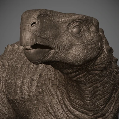 Kunbarrasaurus Ieversi