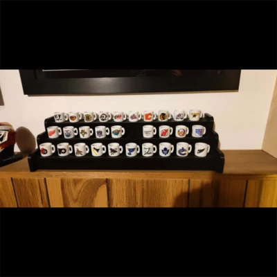 Custom 3D Printed Display Shelf