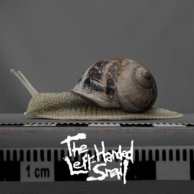 The LeftHanded Snail - Snail Breakdown