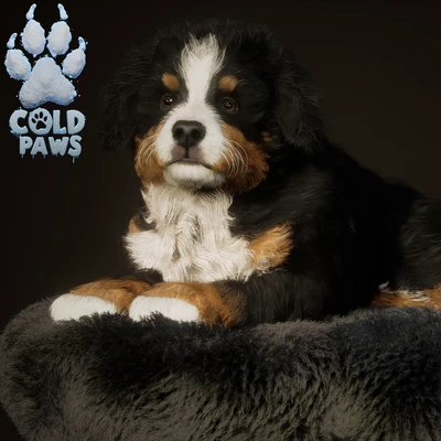 ColdPaws - Digital Dog Mounti - Realtime cards Fur - Unreal engine 5 