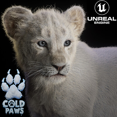 ColdPaws - Chinnu-White Lion Cub - Unreal engine 5 