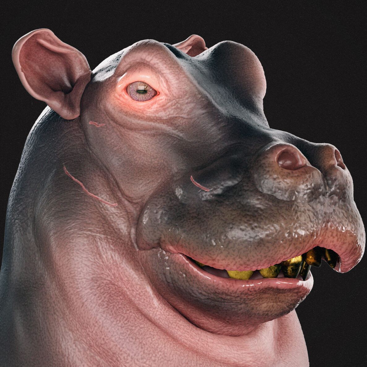 Hippo