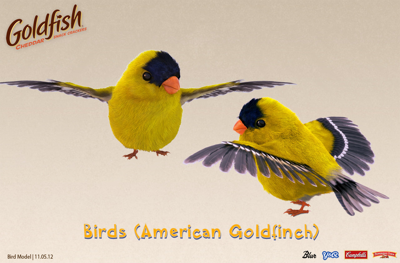 Bird Sample Still