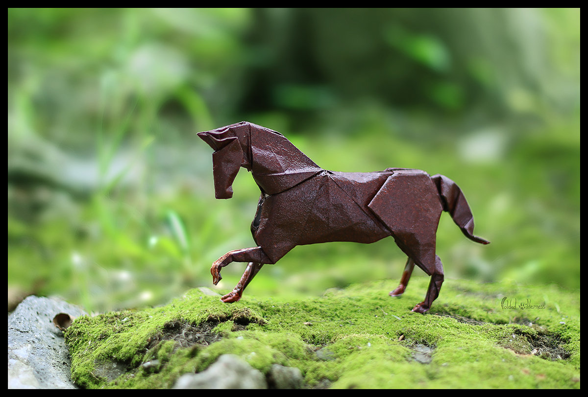 Jessie Parker Year Of The Horse In Origami