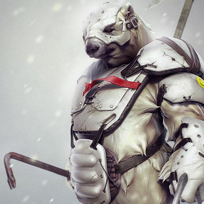 Northern warrior